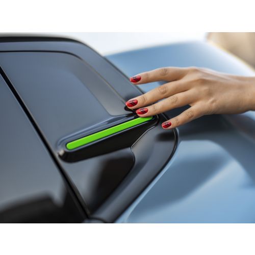 SATZ DE 4 COLOR CLIPS CITROËN C3 Ë-C3 GRÜN